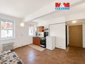 Pronájem bytu 1+kk, Ostrava - Moravská Ostrava, S. K. Neumanna, 22 m2