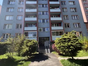 Pronájem bytu 1+kk, Ostrava, U Parku, 27 m2