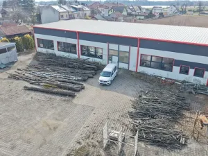Pronájem výrobních prostor, Netín, 519 m2