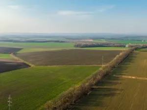 Prodej sadu/vinice, Troskotovice, 243931 m2