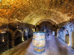 Prodej ubytování, Březí, Na štěrkách, 333 m2