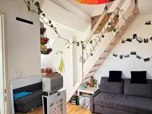 Pronájem bytu 2+kk, Brno - Černovice, Řehořova, 26 m2