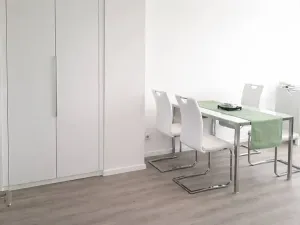 Pronájem bytu 2+kk, Praha - Žižkov, Pod lipami, 54 m2