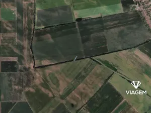 Prodej pole, Prušánky, 621 m2