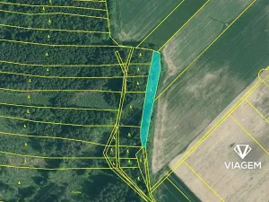 Prodej lesa, Dolní Třebonín, 2158 m2