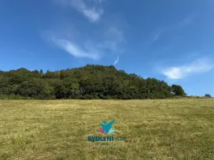 Prodej pozemku pro bydlení, Bystřany, Havlíčkova, 20000 m2