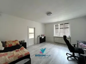 Prodej bytu 1+1, Teplice, 14. října, 42 m2