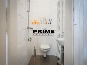 Pronájem bytu 5+1, Praha - Staré Město, Na Perštýně, 197 m2