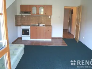 Pronájem bytu 1+kk, Brno, Minská, 30 m2