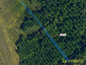 Dražba lesa, Ivančice, 255 m2