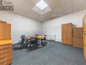 Pronájem rodinného domu, Mladá Boleslav - Čejetice, Koněvova, 296 m2