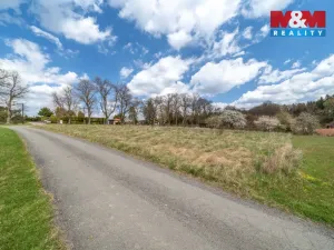 Prodej pozemku pro bydlení, Březnice - Bor, 2692 m2