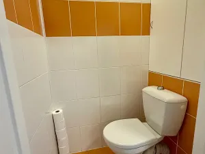 Pronájem bytu 3+1, Plzeň, Sokolovská, 68 m2