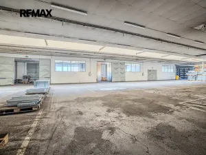 Prodej výrobních prostor, Plzeň, Dopravní, 9469 m2