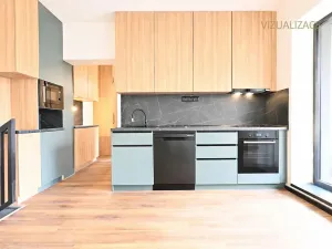 Pronájem bytu 3+kk, Most, Bří Čapků, 68 m2