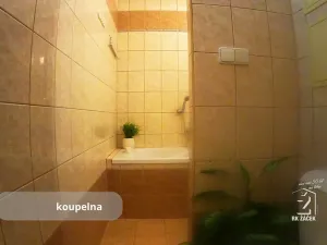 Pronájem bytu 2+1, Český Krumlov, Sídliště Plešivec, 60 m2