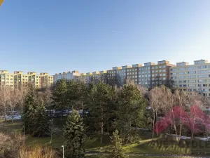 Pronájem bytu 1+1, Praha - Bohnice, Katovická, 55 m2