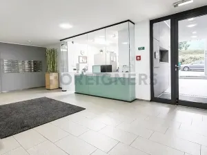 Pronájem bytu 2+kk, Praha - Žižkov, Kališnická, 57 m2