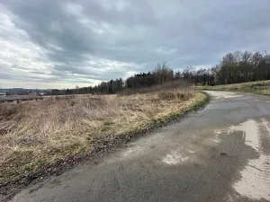 Prodej komerční nemovitosti, Jedlová, 1346 m2