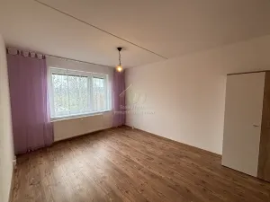 Pronájem bytu 2+kk, Strašice, 50 m2