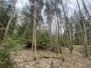 Prodej pozemku, Volfířov - Brandlín, 5958 m2