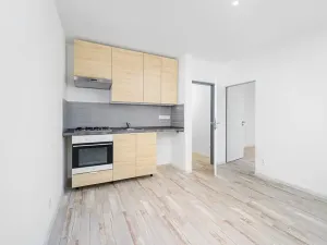 Prodej bytu 2+kk, Liberec, Oldřichova, 36 m2