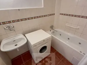 Pronájem bytu 3+1, Praha - Holešovice, U smaltovny, 104 m2