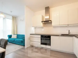 Pronájem bytu 1+kk, Beroun, Na Veselou, 44 m2