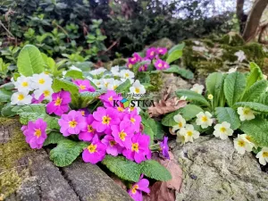 Prodej chaty, Studénka, Malá strana, 50 m2