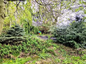 Prodej chaty, Studénka, Malá strana, 50 m2