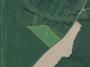 Prodej pole, Poběžovice, 64029 m2