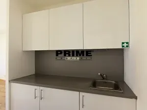 Pronájem bytu 5+1, Praha - Smíchov, Štefánikova, 168 m2