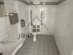 Pronájem kanceláře, Praha - Břevnov, Bělohorská, 1054 m2