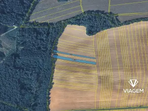 Prodej podílu pole, Merklín, 475 m2
