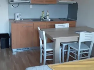 Prodej bytu 1+kk, Brno, Božetěchova, 23 m2