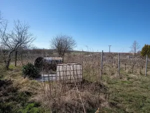 Dražba rodinného domu, Dolní Dunajovice, Polní, 490 m2