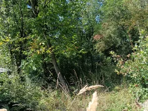 Prodej zahrady, Bojkovice, 1208 m2