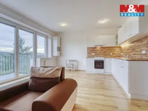 Pronájem bytu 1+kk, Plasy, U Václava, 42 m2