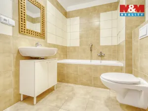 Pronájem bytu 1+kk, Plasy, U Václava, 42 m2