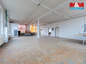 Pronájem výrobních prostor, Aš, Kotkova, 416 m2