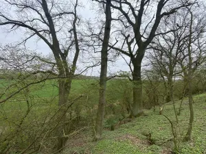 Prodej pozemku, Štětí - Brocno, 1107 m2