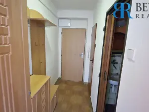 Prodej bytu 1+1, Říkovice, 50 m2