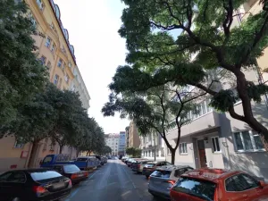 Pronájem bytu 2+kk, Praha - Vinohrady, Velehradská, 59 m2