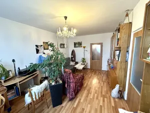 Prodej bytu 2+1, Pardubice, Luďka Matury, 71 m2