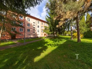 Prodej bytu 2+1, Blansko, Družstevní, 59 m2