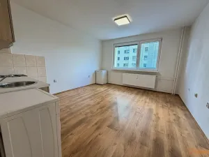 Pronájem bytu 2+kk, Děčín, Čsl. partyzánů, 41 m2