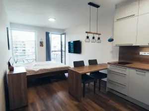 Pronájem bytu 1+kk, Olomouc, Šantova, 28 m2