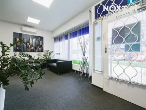 Pronájem kanceláře, Brno, Křídlovická, 115 m2