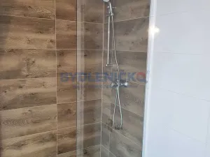 Prodej bytu 2+kk, Dvory nad Lužnicí, 60 m2