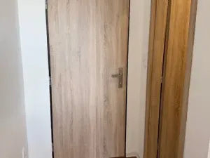 Pronájem bytu 1+kk, Liberec, Březová alej, 22 m2